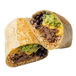 Fresh burrito